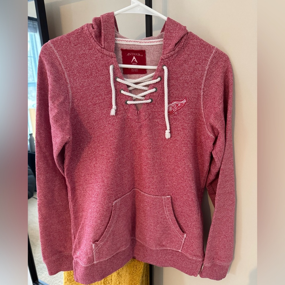 Small Detroit Red Wings Hoody